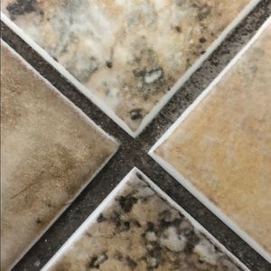 Meet your Posher, Jayden